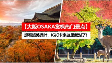 【大阪OSAKA赏枫热门景点】想看超美枫叶，IG打卡来这里就对了！